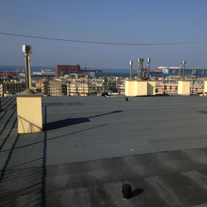 ozone